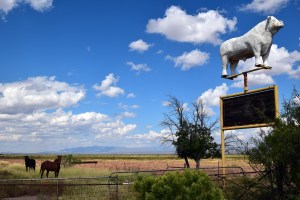 Cow Ranch Sign Small