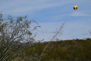 Repellent Fence 4 Small