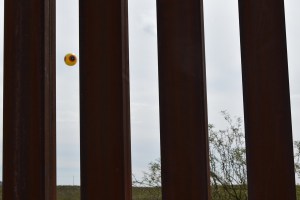 Repellent Fence 5 Small