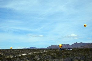 Repellent Fence 7 Small