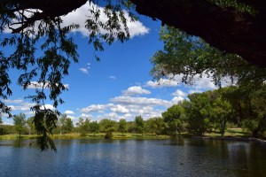 Slaughter Ranch 2 Small